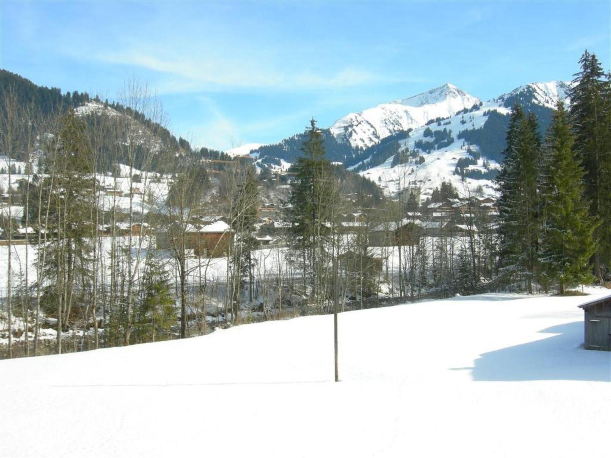Apartment Steimandli By Interhome Gstaad Luaran gambar